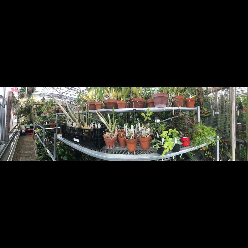 Meet your Posher, Raleigh